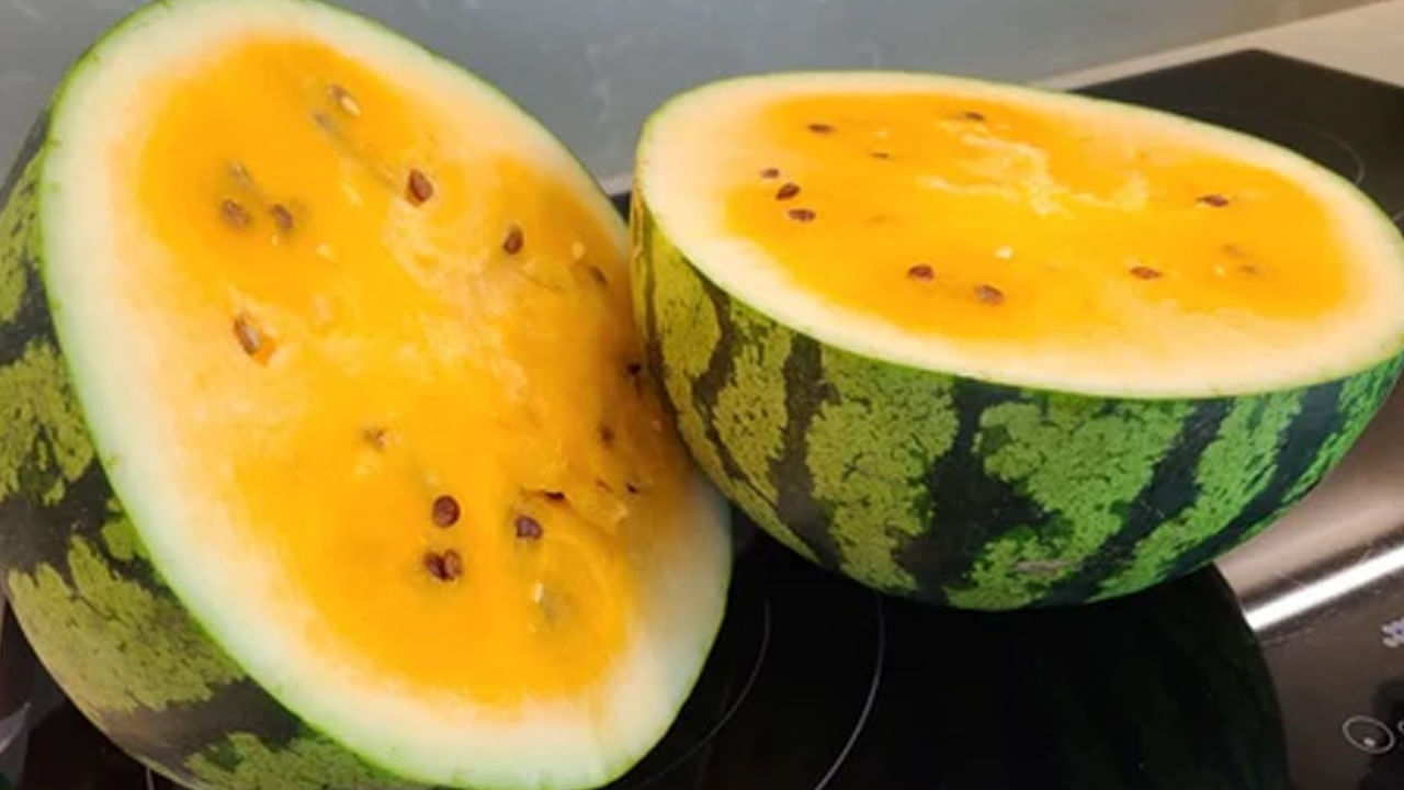 రోగనిరోధక శక్తిని ఇస్తుంది: పసుపు పుచ్చకాయలో విటమిన్ సి, విటమిన్ ఎ మంచి మొత్తంలో ఉంటాయి, ఇవి రోగనిరోధక శక్తిని బలోపేతం చేస్తాయి. ఇది జలుబు, దగ్గు వంటి సాధారణ వ్యాధులతో పోరాడటానికి సహాయపడుతుంది. శరీరాన్ని ఇన్ఫెక్షన్ల నుంచి రక్షిస్తుంది.
