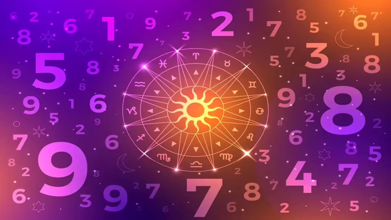 8 1