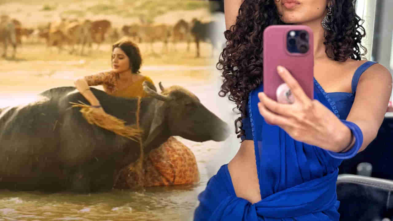 బర్రె కారణంగా బ్లాక్ బస్టర్ మిస్ చేసుకుంది.. రంగస్థలం వదులుకున్న ఈ హీరోయిన్ ఎవరో తెలుసా.?