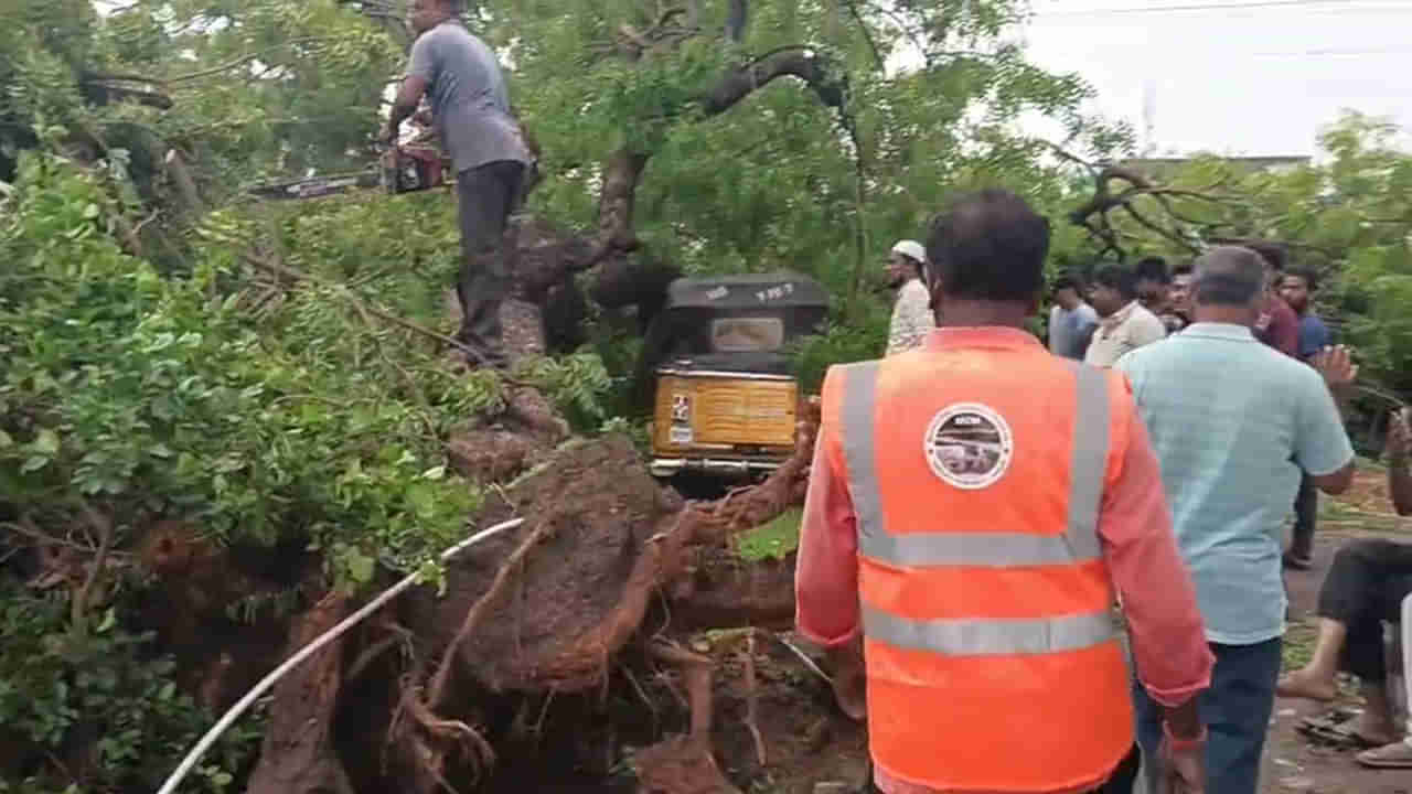 Telangana Rains: రాత్రంతా జాగారం.. కాలనీల్లో అంధకారం.. ఆ జిల్లాలో భీభత్సం సృష్టించిన గాలివాన!