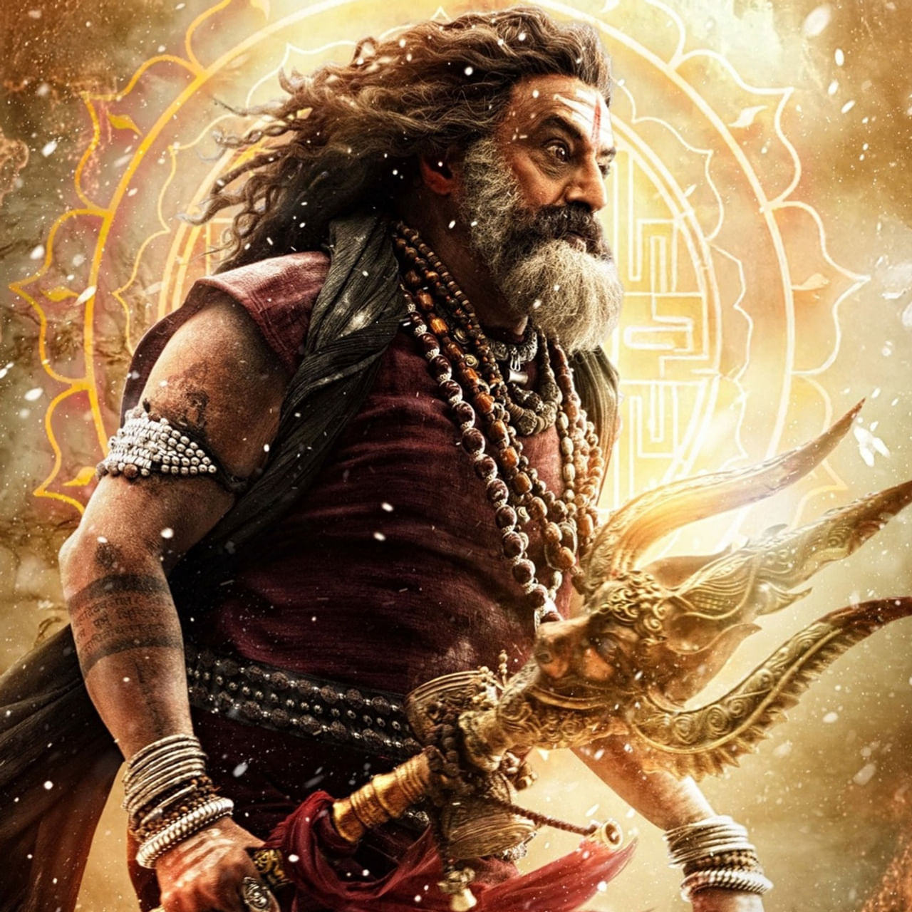 వరుస సక్సెస్ లతో సూపర్ ఫామ్ లో ఉన్న నందమూరి నటసింహం నెక్స్ట్ అఖండ 2 సినిమాతో ప్రేక్షకుల ముందుకు వచ్చేందుకు రెడీ అవుతున్నారు. ఆల్రెడీ హ్యాట్రిక్ సక్సెస్ ఇచ్చిన బాలయ్య, బోయపాటి కాంబో కావడంతో ఈ సినిమా మీద భారీ అంచనాలు ఉన్నాయి. 