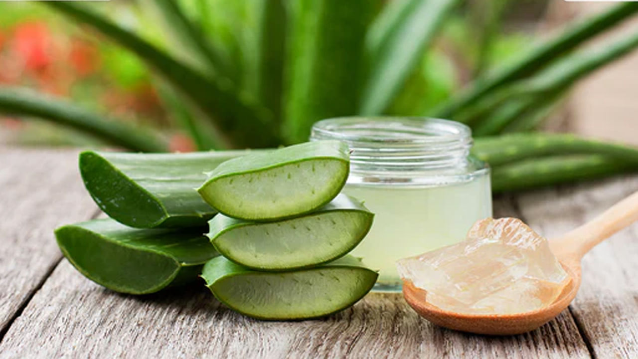 అలోవీరాతో అద్భుత ప్రయోజనాలు.. ఈ విషయాలు తప్పక తెలుసుకోండి..