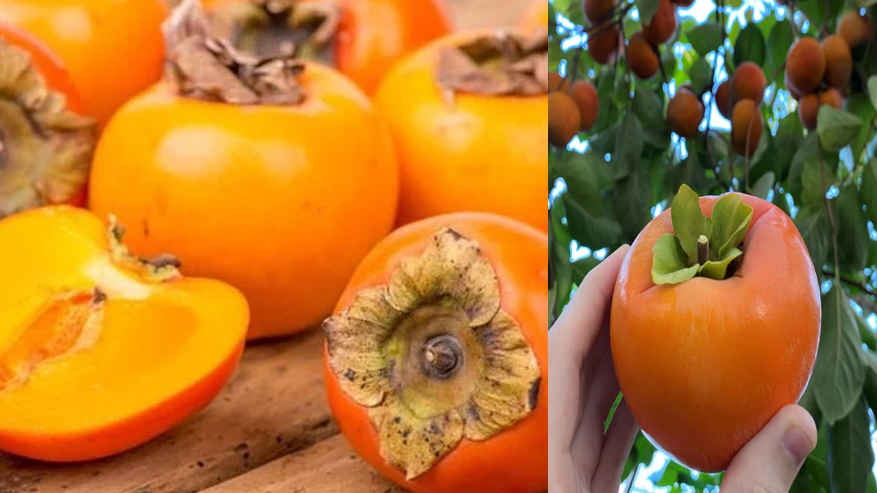 అమెరికన్ ఖర్జూరంలో విటమిన్ ఎ, లుటీన్ అండ్ జియాక్సంటిన్ వంటి ఇతర కెరోటినాయిడ్లు ఉంటాయి. ఇవి కంటికి చాలా మంచిది. ఖర్జూరాలను క్రమం తప్పకుండా తీసుకోవడం వల్ల మీ కంటి చూపును పదునుగా ఉంచుకోవచ్చు. అమెరికన్ ఖర్జూరంలో లభించే విటమిన్ ఎ, యాంటీఆక్సిడెంట్లు చర్మం ఆరోగ్యంగా ఉండేందుకు సహకరిస్తాయి. చర్మ రంగును మెరుగుపరచడంలో సహాయపడతాయి. ముఖ్యంగా ఆర్థరైటిస్ లేదా ఆటో ఇమ్యూన్ సమస్యలు ఉన్నవారికి ఈ అమెరికన్ ఖర్జూరం ఎంతో ఉపయోగపడుతుంది. 