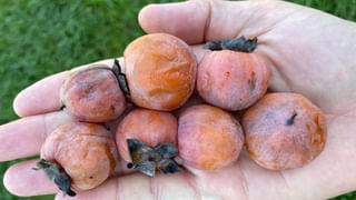 మకర రాశిలోకి చంద్రుడు.. వీరికి డబ్బే డబ్బు!