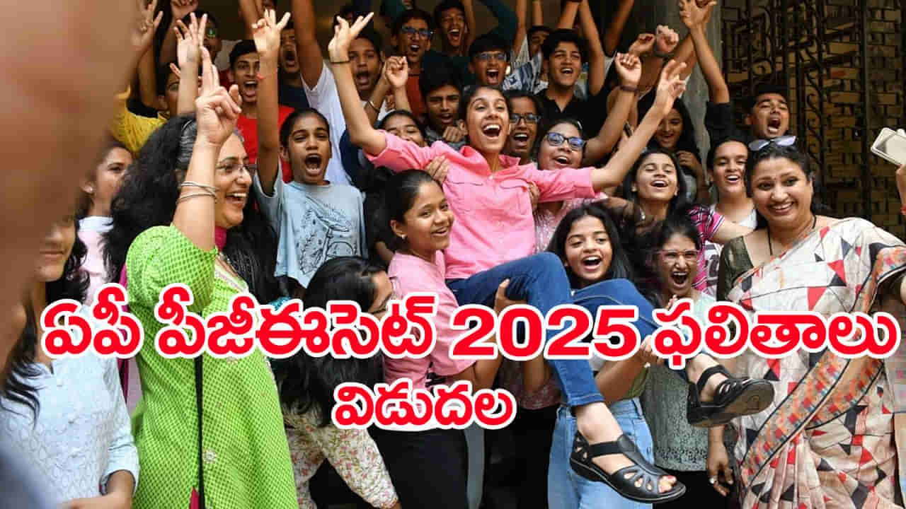 AP PGECET 2025 Results: ఏపీ పీజీఈసెట్‌ ఫలితాలు వచ్చేశాయ్‌.. ర్యాంకు కార్డు డౌన్‌లోడ్‌ లింక్‌ ఇదే