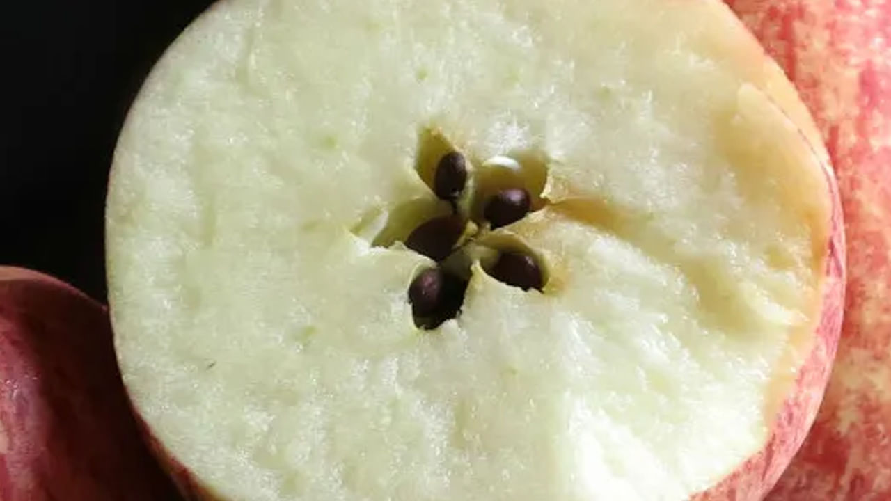 అమిగ్డాలిన్ సాధారణంగా రోసేసి కుటుంబానికి చెందిన పండ్ల విత్తనాలలో అధిక మొత్తంలో ఉంటుంది. ఆపిల్, బాదం, ఆప్రికాట్లు, పీచెస్, చెర్రీస్ తదితర పండ్లలో ఇది ఎక్కువగా ఉంటుంది. దీనిని విషంగా పరిగణిస్తారు.