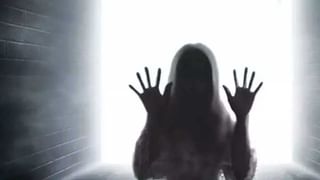 చెఫ్‌లు టోపీలు ఎందుకు ధరిస్తారో తెలుసా? వాటి పేరేంటి? పూర్తి చరిత్ర మీ కోసం..