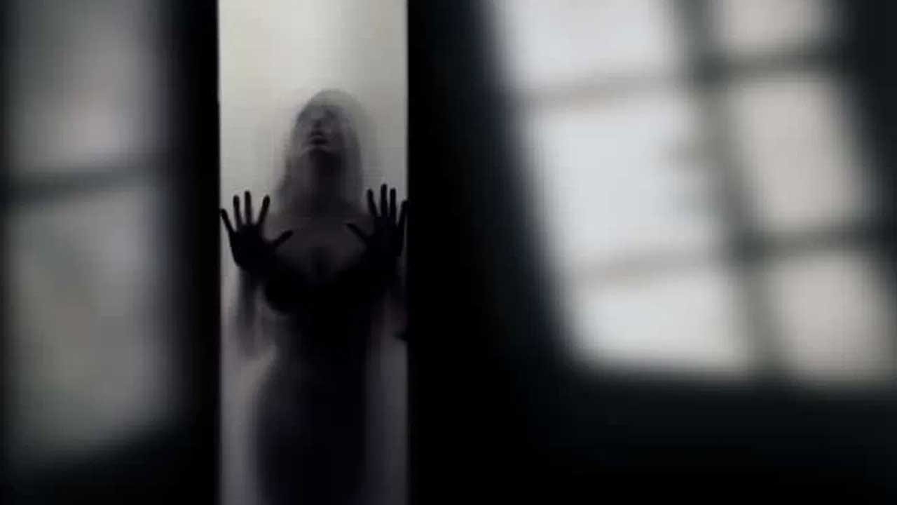 అంటే మనం దెయ్యాలు లేదా ఆత్మలు ఉన్నాయని నమ్మితే అవి ఉన్నట్లు లేకుంటే లేదు. అంటే మీరు ఏదైతే నమ్ముతారో అదే జరుగుతుంది అంటున్నారు శాస్త్రవేత్తలు.ఆత్మలు ఉన్నాయి మన ఇంట్లో తిరుగుతున్నాయని ఇంట్లో ఉన్నవారిలో ఒక వ్యక్తిగా గట్టిగా నమ్మితే తప్పకుండా ఆ వ్యక్తికే ఆత్మలు కనిపిస్తాయంట. లేవు అని కొట్టిపారేసే వారికి అవి కనిపించవంట.