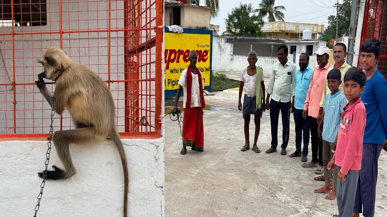ఆ ఊరిలోకి కొత్త రక్షకుడు దిగాడు.. ఊరంతా కలియతిరుగుతూ కాపలా కాస్తున్నాడు..!