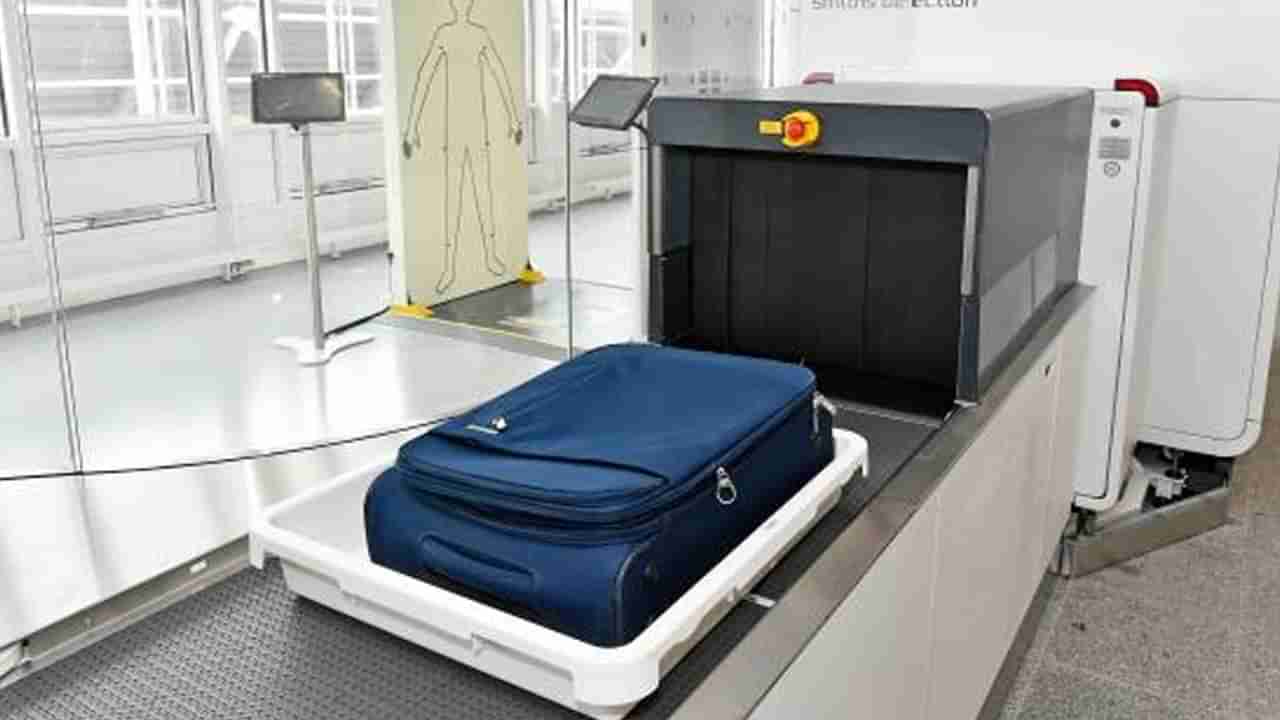 ఎయిర్‌పోర్టులో బ్యాగులు స్కాన్ చేస్తుండగా కదిలిన ఆకారం.. డౌట్ వచ్చి చెక్ చేయగా.. వామ్మో.!