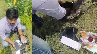 Snake Catechers: విశాఖలో యోగా డేకి భారీ ఏర్పాట్లు.. రంగంలోకి 50 మంది స్నేక్ క్యాచర్లు..!