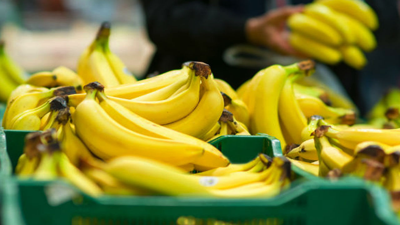 అలాగే అరటి పండ్లు తిన్న తర్వాత అస్సలే నిద్రపోకూడదంట. కొంత మంది రెండు లేదా మూడు అరటి పండ్లు ఒకసారే తినేసి వెంటనే నిద్రపోతారు. కానీ ఇది అస్సలే మంచిది కాదంట. దీని వలన బరువు పెరిగే ఛాన్స్ ఎక్కువగా ఉంటుందంట. అంతే కాకుండా గ్యాస్ట్రిక్ వంటి సమస్యలను కూడా ఇది ప్రేరేపిస్తుందని చెబుతున్నారు ఆరోగ్య నిపుణులు.