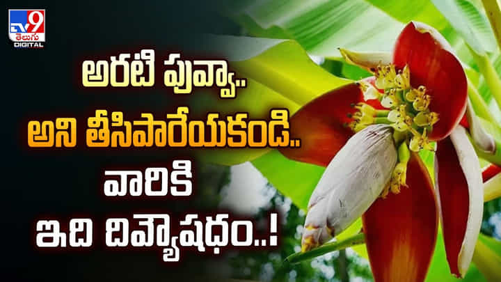 అరటి పువ్వా.. అని తీసిపారేయకండి.. వారికి ఇది దివ్యౌషధం అరటి పువ్వా.. అని తీసిపారేయకండి.. వారికి ఇది దివ్యౌషధం