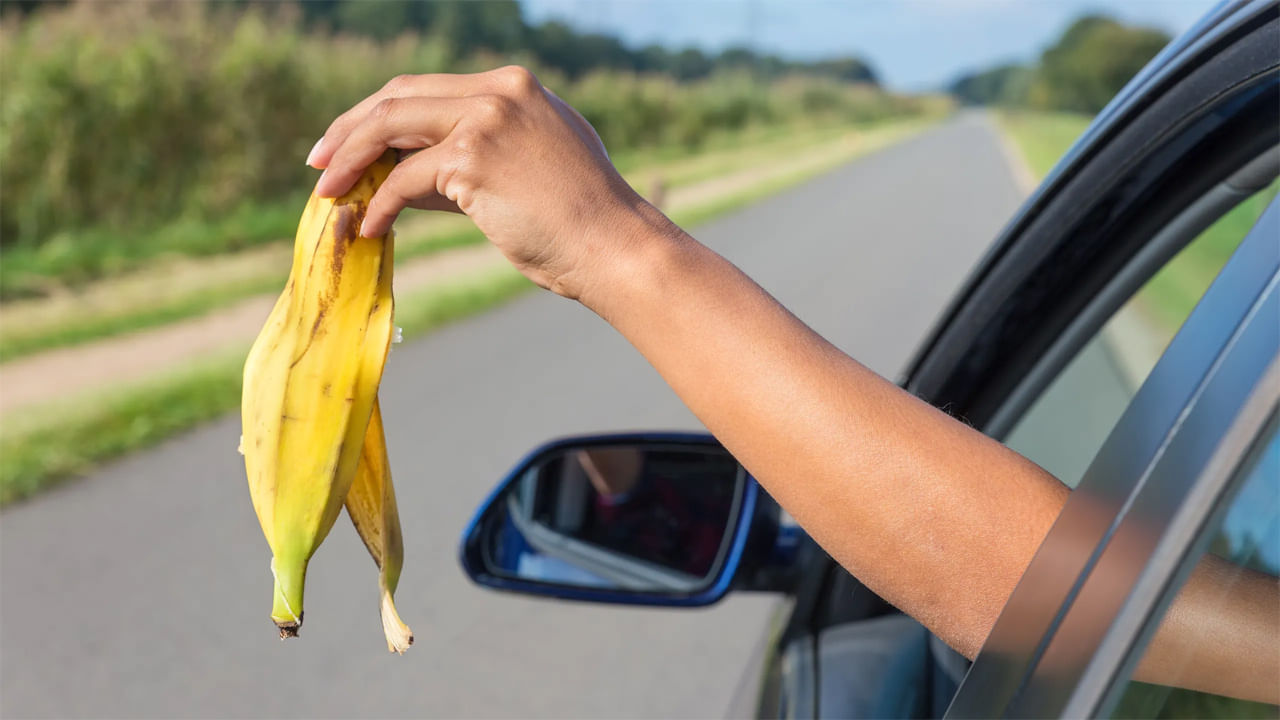 Banana Peel: అరటి పండు తిన్నాక తొక్క పడేస్తున్నారా? ఈ విషయం తెలిస్తే ఎగిరి గంతేస్తారు..