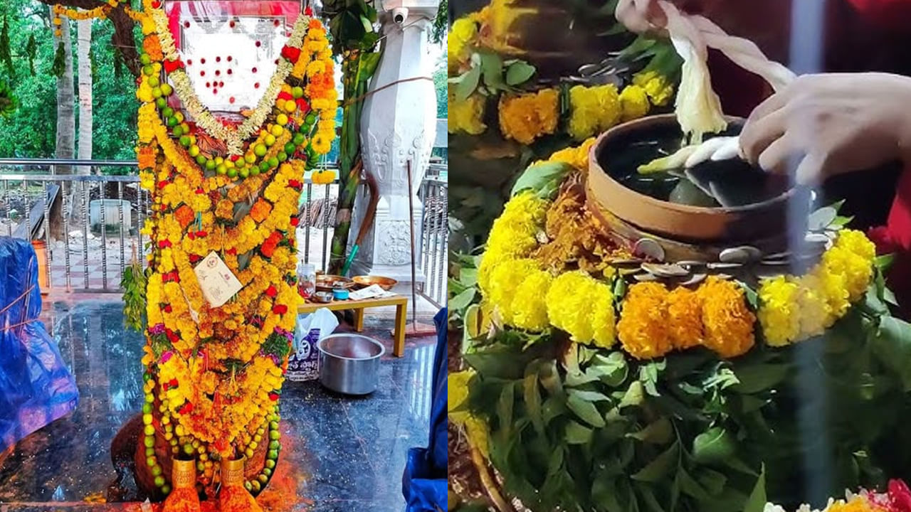 
గ్రామ దేవతలకు భిన్న రూపాలు కనిపిస్తుంటాయి. కానీ పశ్చిమగోదావరిజిల్లా మొగళ్తూరు ప్రాంతం లోని ముత్యాలపల్లి గ్రామంలో శ్రీ బండి ముత్యాలమ్మ కు విగ్రహం, రూపం ఉండదు. తాటి చెట్టు మొదలును అమ్మవారిగా భక్తులు కొలుస్తారు. ఘనంగా జరుగుతున్న ఉత్సవాలని నిర్వహిస్తారు. తీర ప్రాంత ప్రజల ఆరాధ్య దేవతగా వెలుగొందుతున్న శ్రీ బండి ముత్యాలమ్మ అమ్మవారు కు విగ్రహం గానీ రూపం గానీ లేదు తాడిచెట్టు మొదలు నీ అమ్మవారిగా పూజలు చేస్తూ ఉంటారు. 