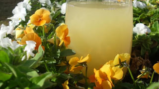 Watermelon Seeds Benefits : గింజ గింజలో ఆరోగ్యం.. అద్భుత ప్రయోజనాలు తెలిస్తే అస్సలు విడిచిపెట్టరు..