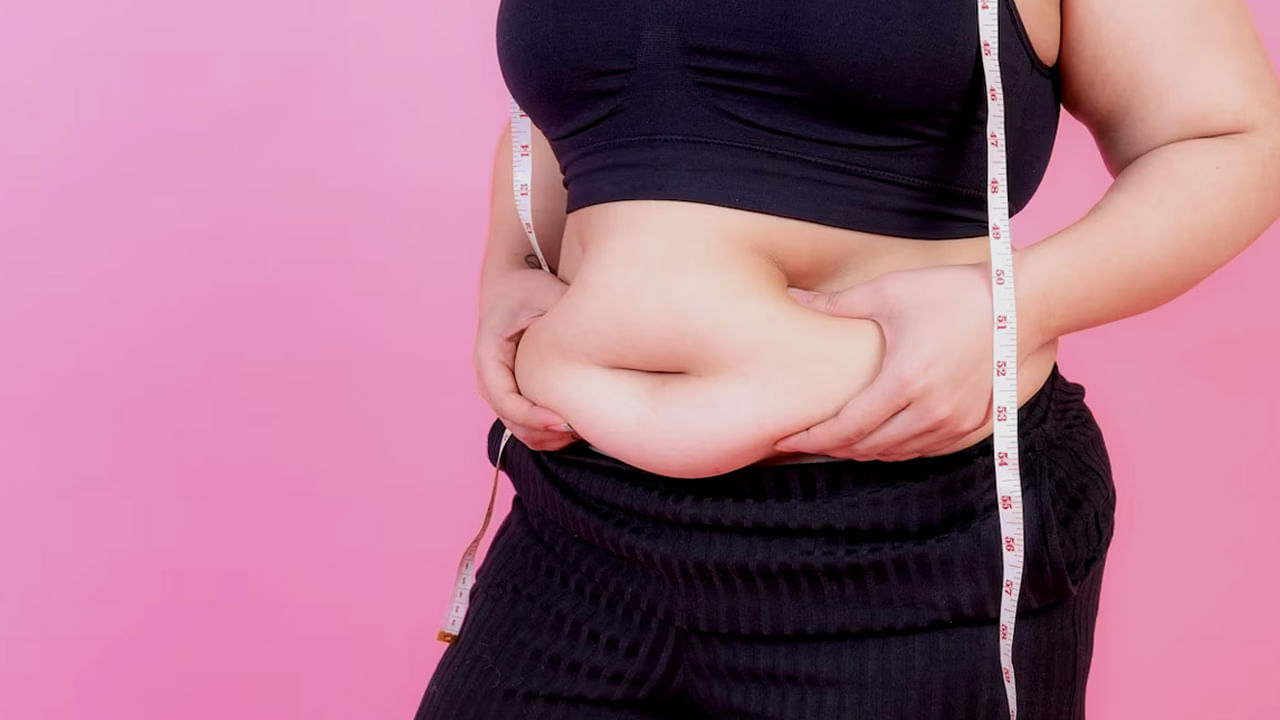 Belly Fat 2