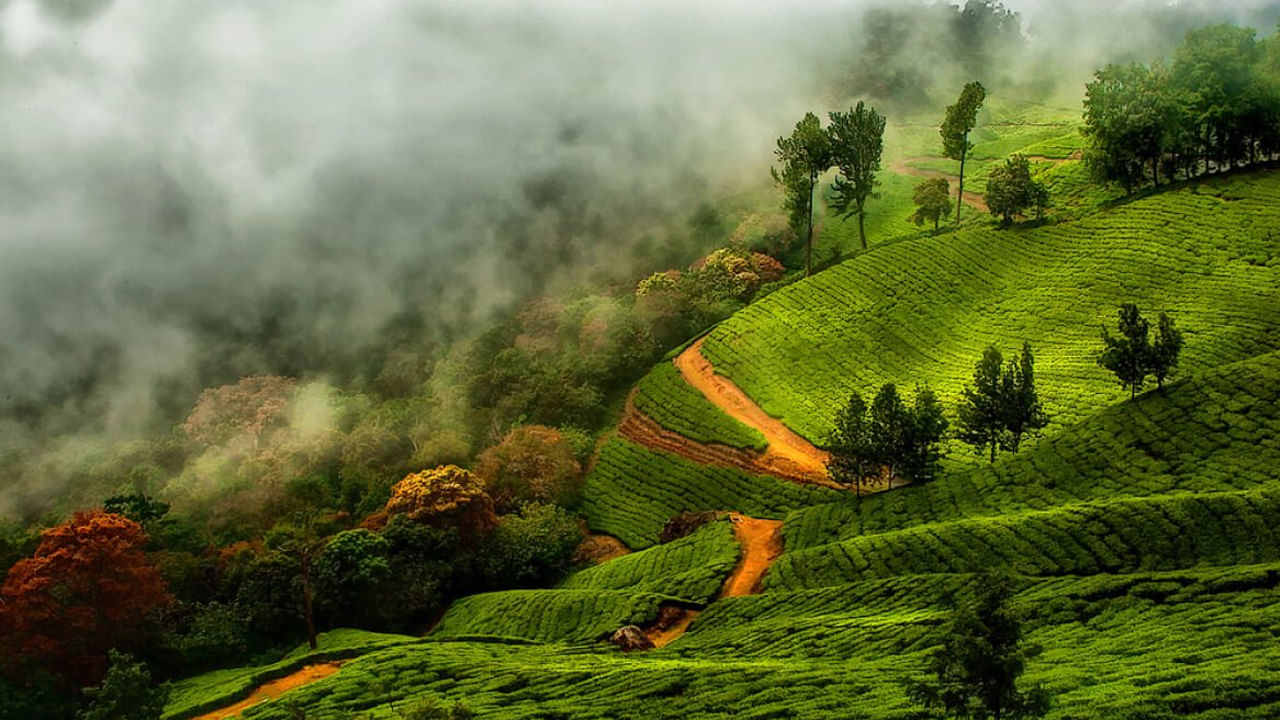 మున్నార్, కేరళ : వర్షాకాలంలో కేరళ అందాల గురించి ఎంత చెప్పినా తక్కువే. ముఖ్యంగా మున్నార్‌లోని టీ తోటలు, రోలింగ్ హిల్స్ చాలా అందంగా ఉంటాయి. ఇవే కాకుండా పొగమంచుతో కప్పబడన పర్వతాలు, ఎరవికులం జాతీయ ఉద్యానవనం, దక్షిణ భారతదేశంలోనే ఎత్తైన మట్టుపెట్టి శిఖరం, ఆనముడి శిఖరం వంటివి పర్యాటకులను ఎంతగానో ఆకర్షిస్తాయి.