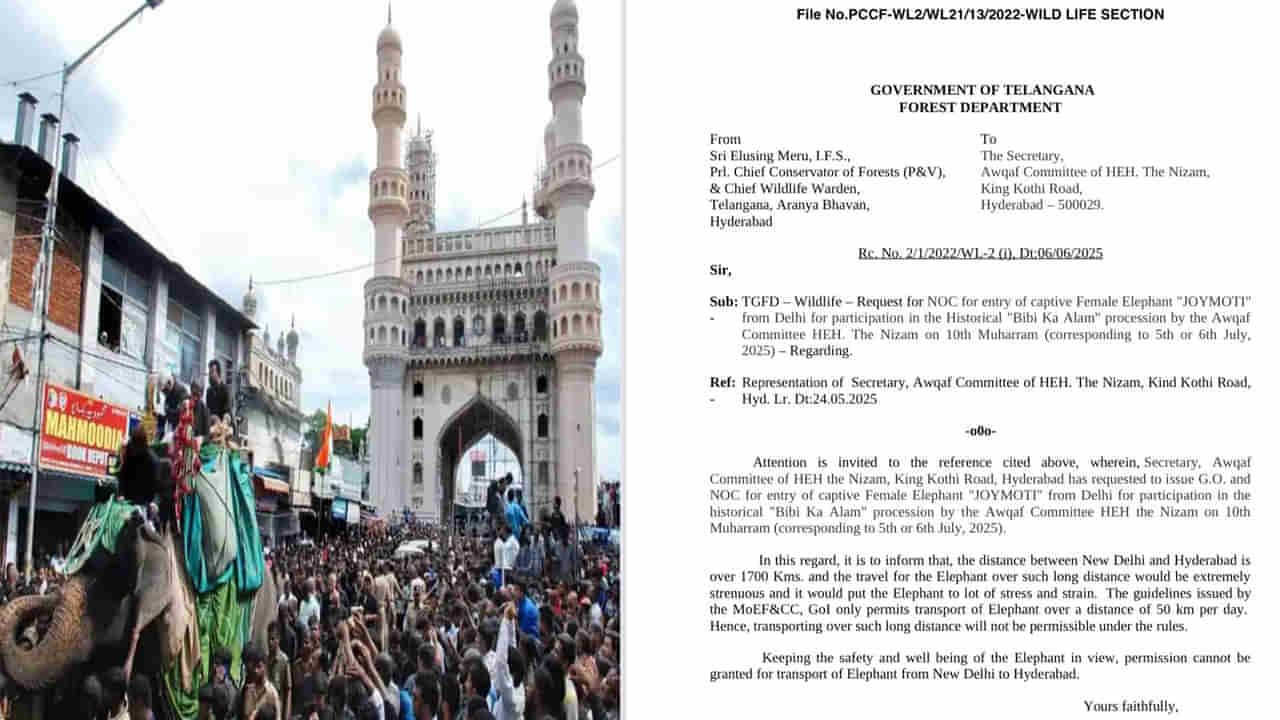 Hyderabad: బీబీ-కా-ఆలం ఊరేగింపు కోసం ఢిల్లీ నుండి ఏనుగు తరలింపు.. అటవీ శాఖ నిరాకరణ!