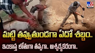 మృత్యుంజయులు.. వంతెనపైనుంచి 50 అడుగుల లోతులో పడిన కారు