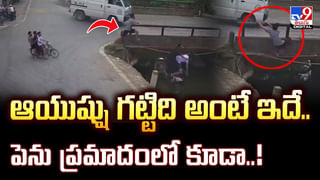పాములా ప్రవర్తిస్తూ యువతి వింత చేష్టలు.. ఆ గ్రామంలో వింత ఘటన!