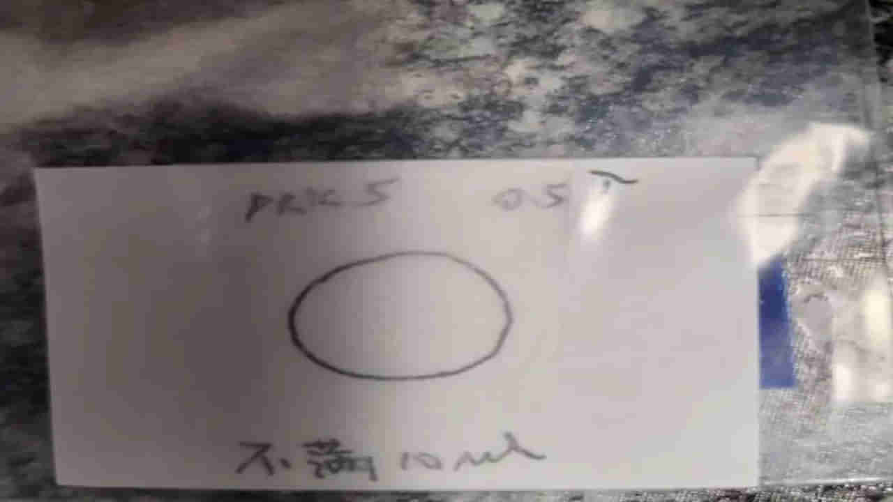 USA: యూఎస్లోకి విషపూరిత ఫంగస్ అక్రమ రవాణా.. చైనా PhD స్టూడెంట్ అరెస్ట్