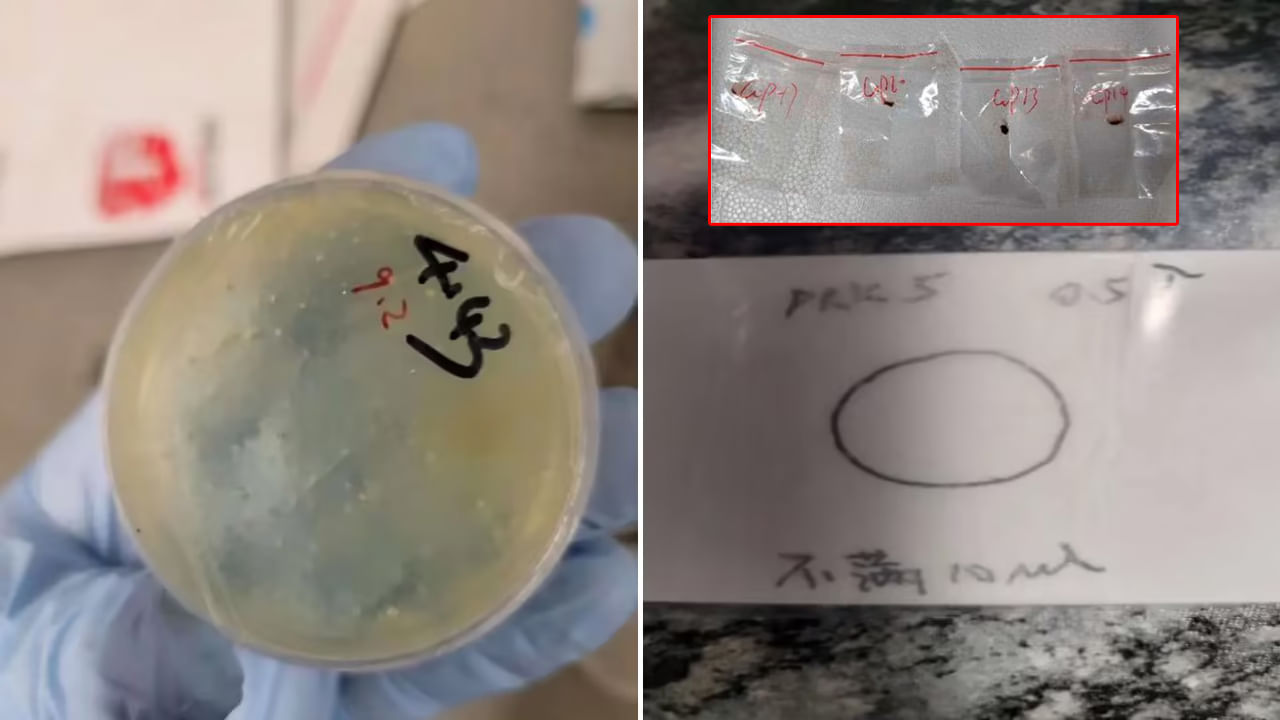 Biological Smuggling: చైనా దిగజారుడు చర్యలు.. అమెరికాలో మరో బయోవెపన్ స్మగ్లర్ అరెస్ట్!