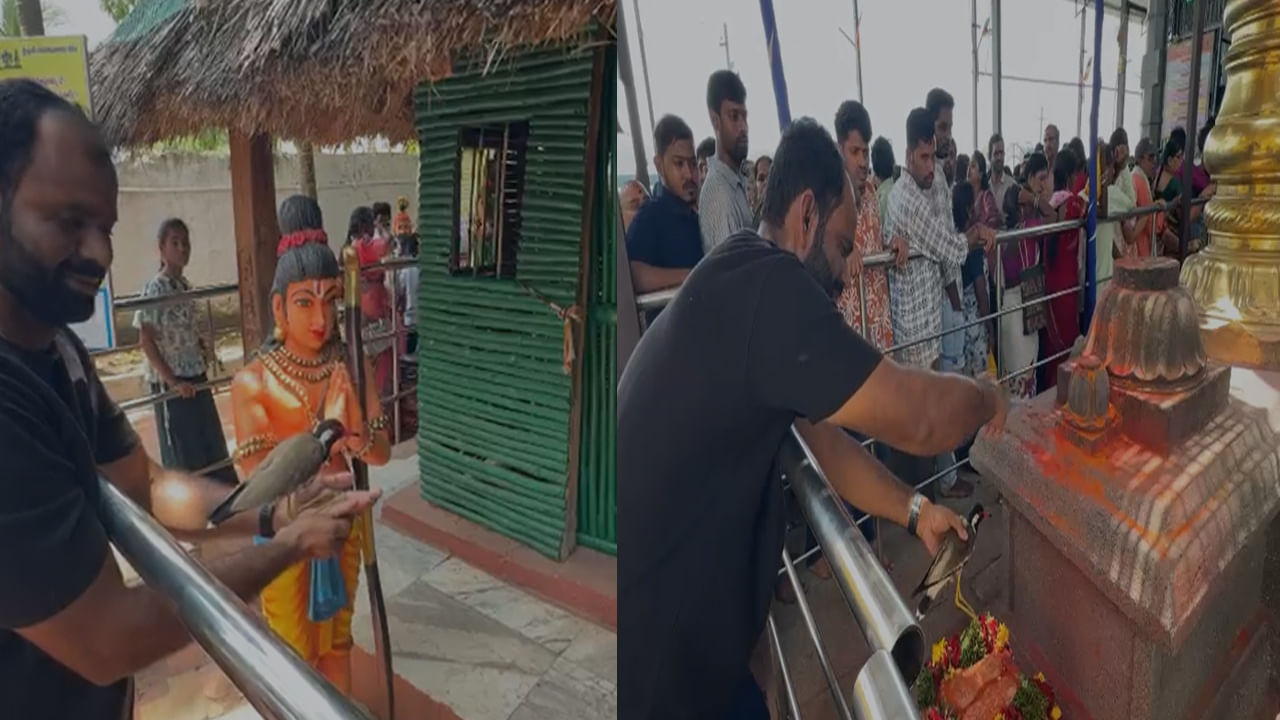 Bhadhrachalam: రామయ్యని దర్శించుకుని మొక్కులు తీర్చుకున్న పక్షి.. పర్ణశాలలో ప్రదక్షిణాలు.. Bhadhrachalam: రామయ్యని దర్శించుకుని మొక్కులు తీర్చుకున్న పక్షి.. పర్ణశాలలో ప్రదక్షిణాలు..