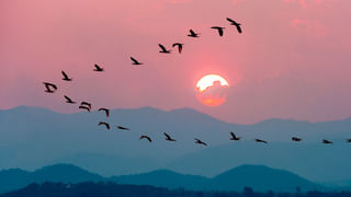 Prayagraj: ప్రయాగ్‌రాజ్‎ నుంచి ప్రధానమంత్రి మంత్రులగా ఐదుగురు.. వారెవరు.?