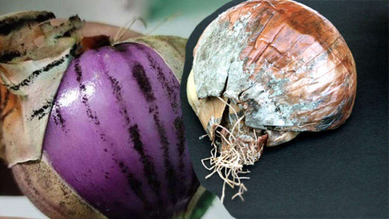 Onions: ఉల్లిపాయలపై ఈ మచ్చలు ఎందుకు..? బంగాళాదుంపలతో వీటిని కలిపి పెడుతున్నారా.. ఈ డేంజర్ తప్పదు
