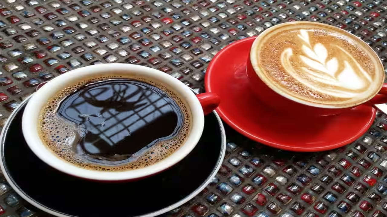 మనం ఏదో ఒక రూపంలో పాలను వాడుతూనే ఉంటాం.. అలాంటి పాలలో ప్రోటీన్, విటమిన్ 12, కాల్షియం, పొటాషియం, భాస్వరం వంటి కొన్ని ముఖ్యమైన పోషకాలు ఉంటాయి. ఇవి ఎముకలు, దంతాలను బలోపేతం చేస్తాయి. ఒక్కమాటలో చెప్పాలంటే.. పాలను సంపూర్ణ ఆహారం అంటారు. ప్రతి రోజూ గ్లాస్ పాలు తాగడం వల్ల శరీర ఎముకలను బలపరుస్తుంది. కానీ, నల్లటి పాలు చాలా పలుచగా ఉండి, కొవ్వు శాతం కూడా తక్కువగా ఉంటుందని పరిశోధకులు చెబుతున్నారు.