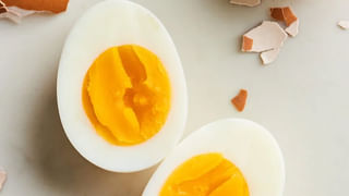 Aloo Paneer Kebab: వేడి వేడి చాయ్ తో వర్షాకాలానికి సరైన క్రిస్పీ స్నాక్ ఆలూ పనీర్ కబాబ్..రెసిపీ మీ కోసం