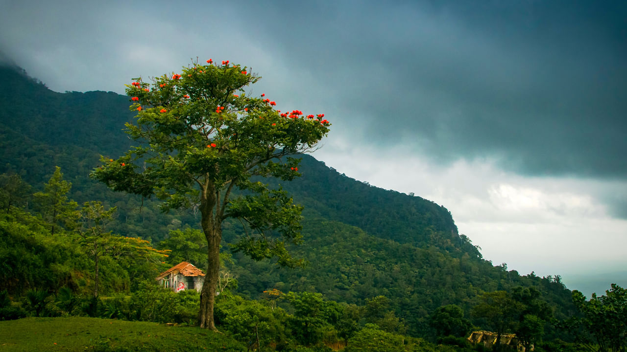 బోనకాడ్ అటవీ శ్రేణి సాధారణ సఫారీల కంటే భిన్నమైనదాన్ని కోరుకునేవారు, ట్రెక్కింగ్ చేసేవారు బోనకాడ్ ఫారెస్ట్ రేంజ్‌లో ఉత్సాహాన్ని పొందుతారు. నిటారుగా ఉన్న వాలులు, అనేక చెట్లు, ప్రవహించే జలపాతాలతో కూడిన మార్గాలను ఎదుర్కొనే ట్రెక్కింగ్ చేసేవారికి మంచి ఎంపిక. మకాక్, లంగూర్ వీక్షణ అందమైన విభిన్న పక్షుల వీక్షణలకు ప్రసిద్ధి. ఫోటోగ్రాఫర్లు, ఫోటో ఔత్సాహికులు సహా అన్ని రకాల ప్రకృతి ఔత్సాహికులు కేరళలోని పశ్చిమ కనుమల ప్రకృతి దృశ్యాల కోసం బోనకాడ్‌కు వెళ్లాల్సిందే.
