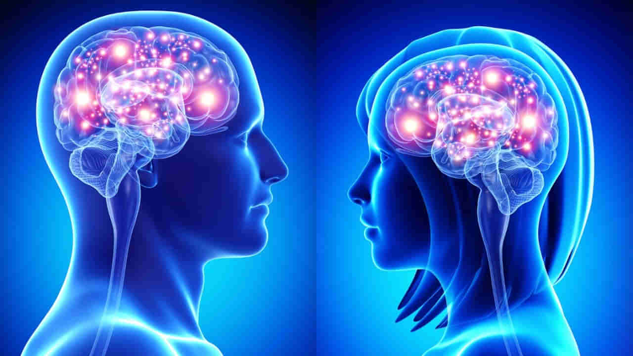 Brain: ఇలా చేశారో మీ మెదడు తారాజువ్వలా పని చేయడం ఖాయం.!