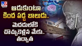 చుట్టుముట్టిన అడవి పందులు.. దిమ్మదిరిగే షాకిచ్చిన చిరుత