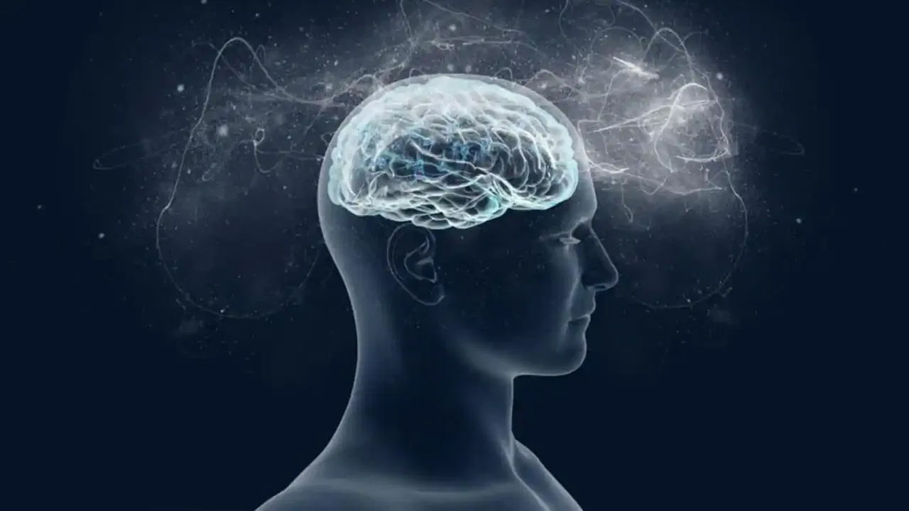 అంతే కాకుండా బ్రెయిన్ ట్యూమర్ ఉన్న వ్యక్తి రోజులు గడిచే కొద్దీ,మానసిక స్థిరత్వాన్ని కోల్పోతారంట, జ్ఞాపకశక్తి తగ్గతుండటంతో గందరగోళానికి గురి అవుతారంట. తీవ్రమైన అలసట, వినికిడి లోపానికి గురికావడం జరుగుతుందంట. అంతే కాకుండా తల తిరగడం, కాళ్లు కదపలేకపోవడం వంటి సమస్యలు కూడా తలెత్తుతాయని చెబుతున్నారు వైద్యులు.