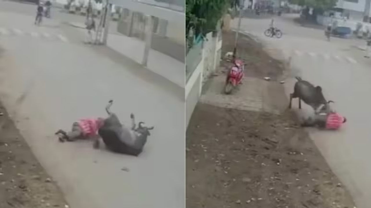 Viral Video: బాప్రే.. కాస్తయితే ముసలోడు ఖతం అయితుండే… ఈ సీసీటీవీ వీడియో చూస్తే మైండ్ బ్లాంకే!