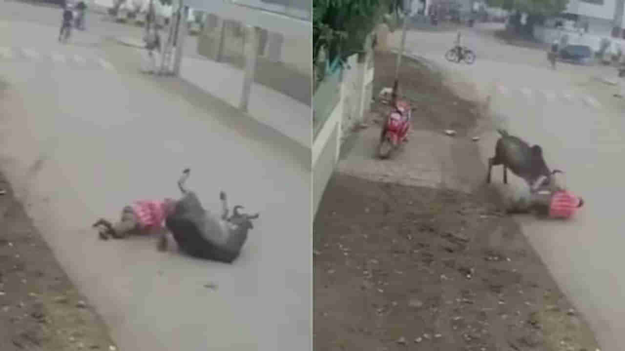 Viral Video: బాప్రే.. కాస్తయితే ముసలోడు ఖతం అయితుండే... ఈ సీసీటీవీ వీడియో చూస్తే మైండ్ బ్లాంకే!