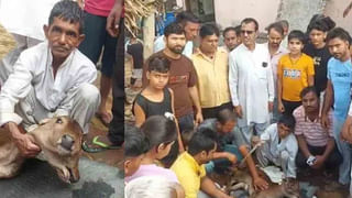 Viral Video: బసవన్నకు బర్త్ డే సెలబ్రేషన్స్.. కేక్ కటింగ్, బంతి భోజనం.. మామూలుగా లేదుగా..