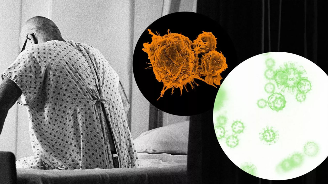 ప్రస్తుం క్యాన్సర్ కేసులు అనేవి విపరీతంగా పెరిగిపోతున్నాయి. ముఖ్యంగా క్యాన్సర్ ప్రమాదంలో కీలక పాత్ర ఆహారందే ఉండటం వలన కొన్ని రకాల ఆహారపదార్థాలకు చాలా దూరంగా ఉండాలని సూచిస్తున్నారు ఆరోగ్య నిపుణులు. హార్వర్డ్ పరిశోధన బృధం చేసిన ఓ పరిశోధనలో కొన్ని రకాల ఆహార పదార్థాలను అతిగా తీసుకోవడం వలన క్యాన్సర్ ప్రమాదం పెరుగుతుందని చెప్తున్నారు. కాగా , ఆహార పదార్థాలు ఏవో ఇప్పుడు మనం చూద్దాం.