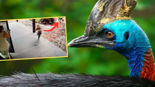 పాక్ తోక వంకర.. మరోసారి ప్రధాని మోదీపై విషంకక్కిన ఆ దేశ రక్షణ మంత్రి..!