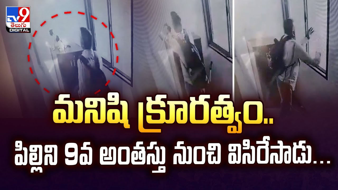 మనిషి క్రూరత్వం.. పిల్లిని 9వ అంతస్తు నుంచి విసిరేసాడు