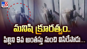 మనిషి క్రూరత్వం.. పిల్లిని 9వ అంతస్తు నుంచి విసిరేసాడు మనిషి క్రూరత్వం.. పిల్లిని 9వ అంతస్తు నుంచి విసిరేసాడు