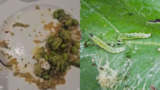 Viral Video: బొట్టు పెడుతుండగా వరుడికి వణుకుడు రోగం… ఏకంగా పెళ్లి రద్దు చేసుకున్న వధువు