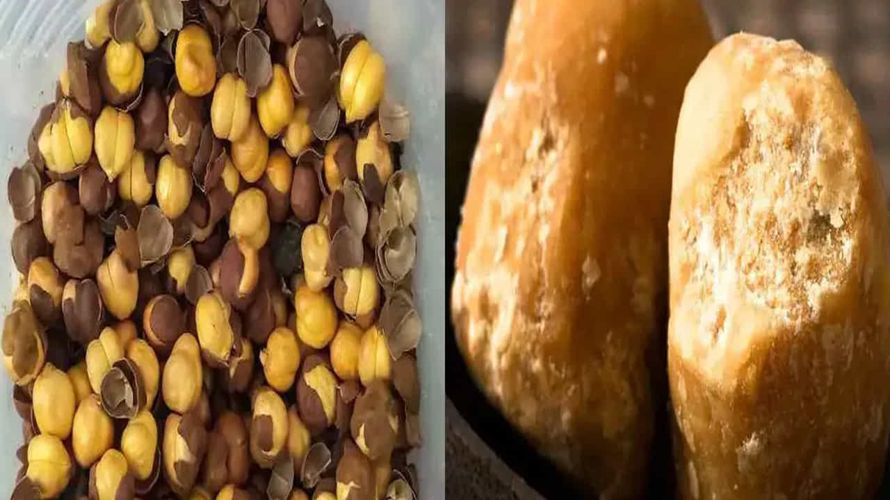 జీవక్రియను పెరుగుతుంది: ప్రతిరోజూ ఉదయం శనగలు, బెల్లం కలిపి తింటే కండరాలు దృఢంగా మారుతాయి. వ్యాయాయం చేసే వారు, జిమ్ కు వెళ్లేవారు వీటిని తప్పనిసరిగా తీసుకోవాలి. ఎందుకంటే బెల్లంలో పొటాషియం పుష్కలంగా ఉండడం వల్ల జీవక్రియను మెరుగుపరచడంలో సహాయపడుతుంది.