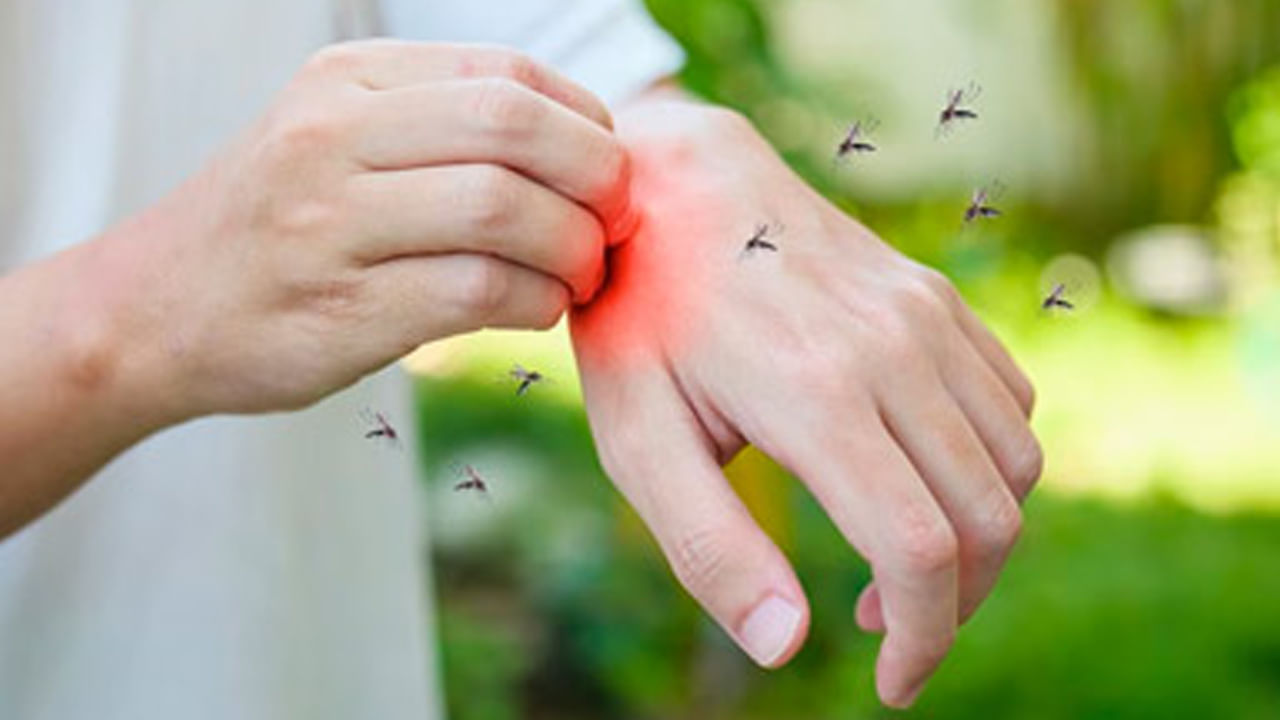 అలాగే ఇంటి వాతావరణాన్ని చాలా శుభ్రంగా ఉంచుకోవాలి. ఎందుకంటే తేమ వలన దోమలు, కీటకాలు ఎక్కువగా పెరుగుతాయి. ఇవి పిల్లలను కుట్టినట్లైతే అనేక విషజ్వరాలు వస్తాయి. దీని వలన పిల్లల ఆరోగ్యం దెబ్బతింటుంది. అందుకే వీలైనంత వరకు మీ ఇంటి వాతావరణాన్ని నీట్‌గా ఉంచుకొని, పిల్లల ఆరోగ్యాన్ని కాపాడుకోండి.