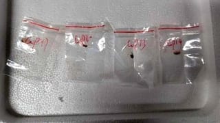 తగ్గేదేలే.. చర్చలంటూనే దాడులు.. భారీగా ప్రాణ, ఆస్తి నష్టం..! ఉక్రెయిన్, రష్యా మధ్య కొనసాగుతున్న ఉద్రిక్తతలు