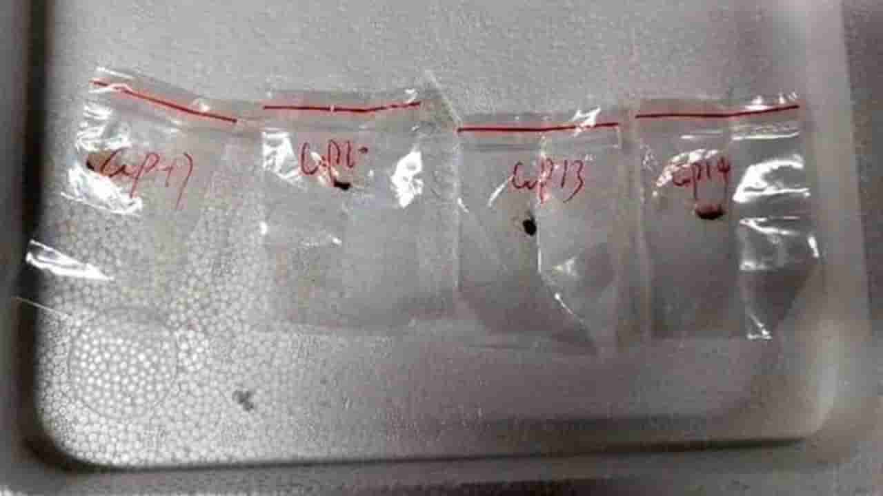 వామ్మో.. బతకనిచ్చేటట్టు లేరుగా.. చైనా ల్యాబ్లో డేంజర్ ఫంగస్ సృష్టి? అమెరికాలో ఇద్దరు అరెస్ట్..