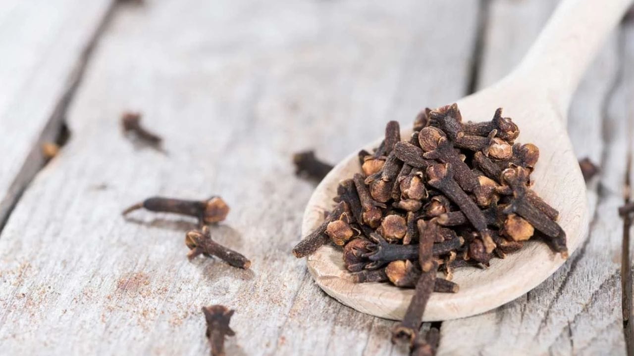 Cloves Health Benefits: పాలలో లవంగాల పొడి కలిపి తాగితే ఎన్ని లాభాలో తెలుసా..?