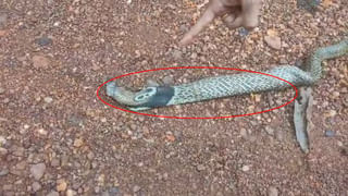 Meghalaya murder case: సోనమ్‌ కళ్లముందే రాజా రఘువంశీ దారుణ హత్య.. కేసులో కీలక ఆధారం అదే